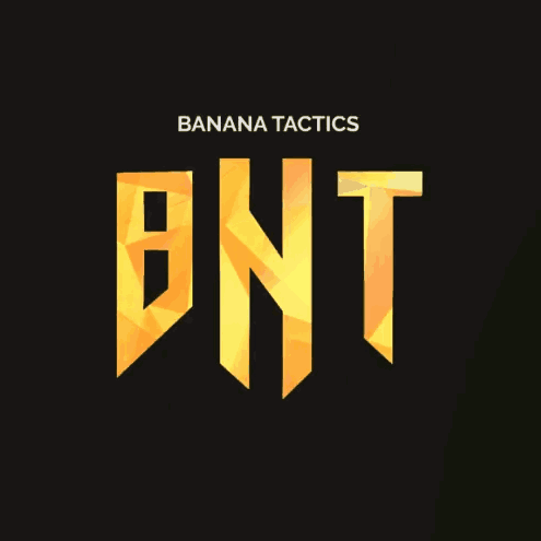Bnt GIF - Bnt GIFs