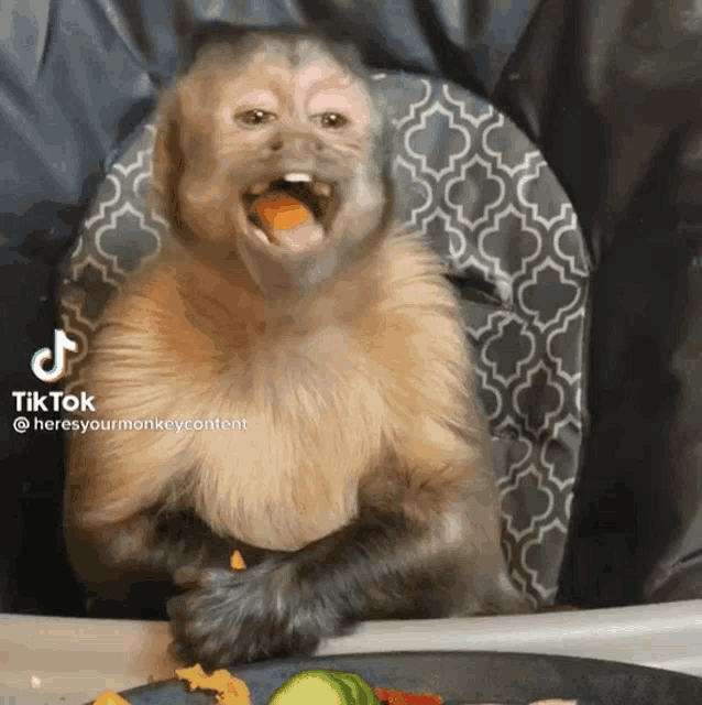 a monkey is sitting in a high chair eating food from a plate ..