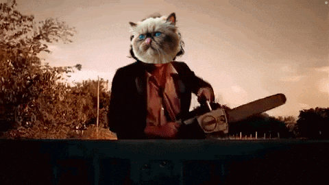 a cat with blue eyes is holding a chainsaw in front of trees