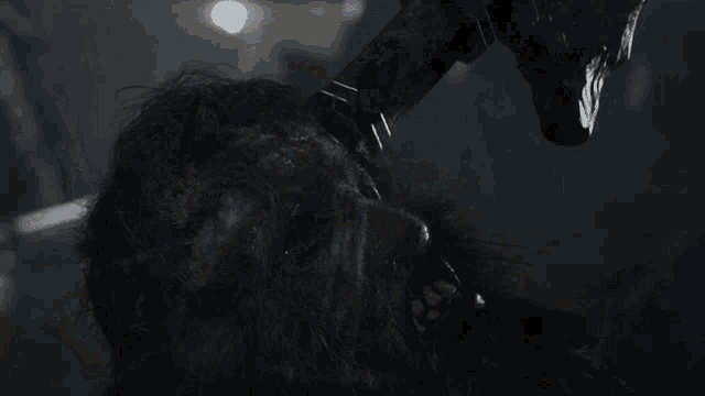 a close up of a rat 's face with a sword behind it