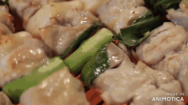 a close up of food on a grill with the words made in animotica visible