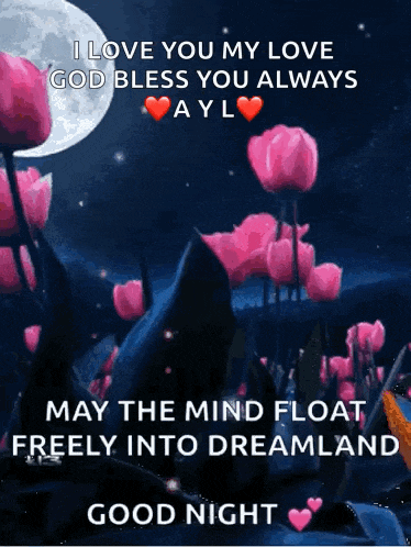 i love you my love god bless you always ayl may the mind float freely into dreamland goodnight