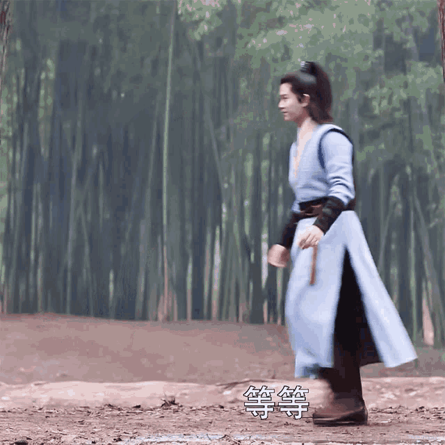 a man in a blue robe is walking in a forest with chinese writing on the ground