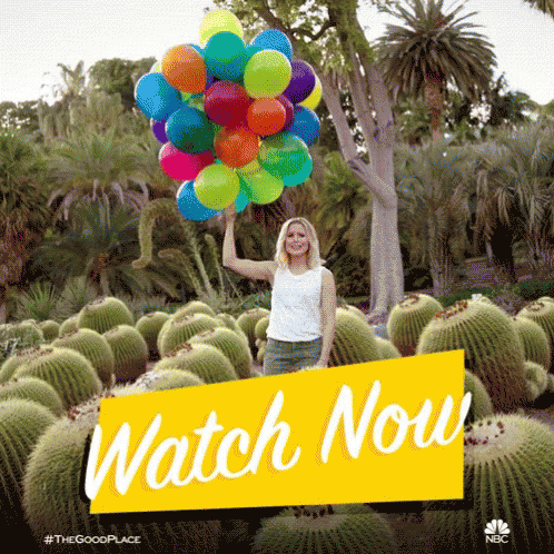 Watch Now Balloons GIF - Watch Now Balloons Cactus GIFs