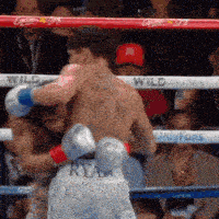 a man in a boxing ring with the word wild written on the ropes