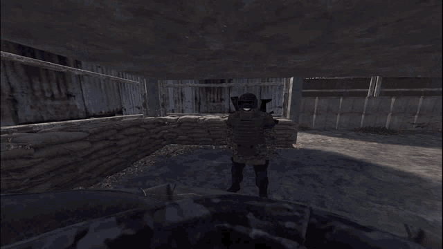 a soldier in a video game is wearing a green helmet and holding an assault rifle and says bandana sentinel