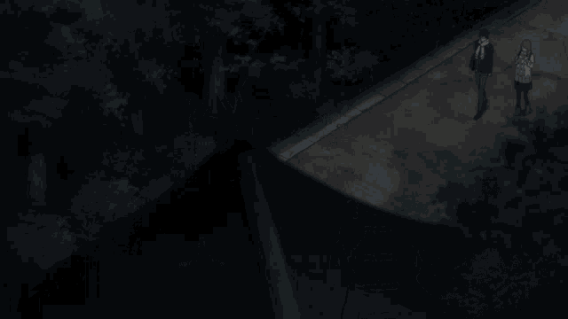 a man and a woman are walking in the dark