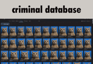 Criminal Database GIF - Criminal Database Criminal Database GIFs