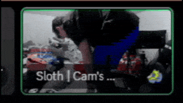 a sloth cam 's video is being played on a computer