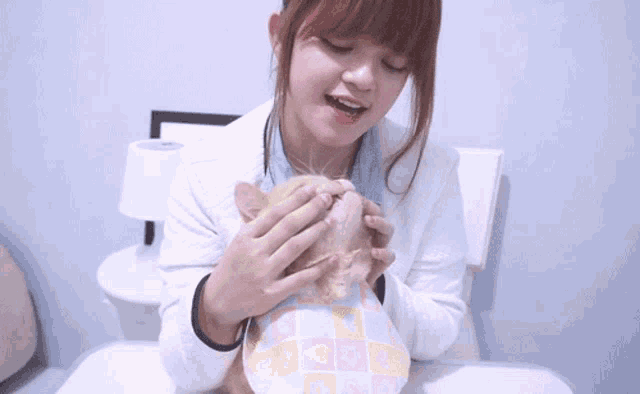 a woman is petting a cat that is wearing a bib that says hello kitty