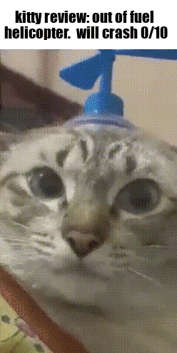 Kitty Review Cat Meme GIF - Kitty Review Cat Meme Cat Blue Fan GIFs