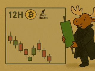 a moose is standing in front of a graph that says 12h bitcoin data haven