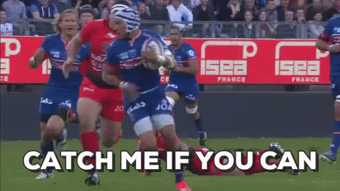 Catch Me If You Can GIF - Fcg Grenoble Rugby GIFs