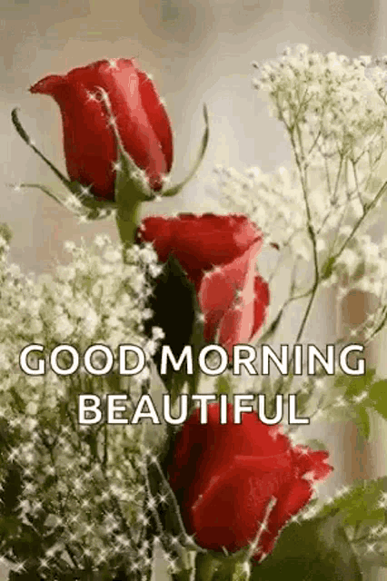 a bouquet of red roses with white flowers and a good morning message .