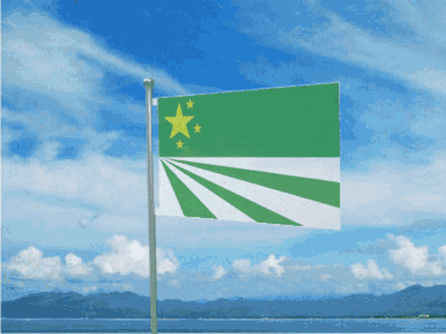 a green and white flag with a yellow star on it