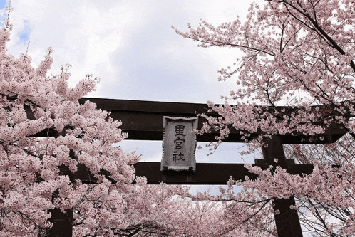 a torii gate surrounded by cherry blossom trees with chinese writing on it