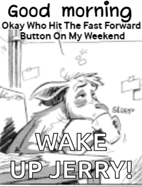 a black and white cartoon of a dog yawning with the words `` good morning okay who hit the fast forward button on my weekend ''