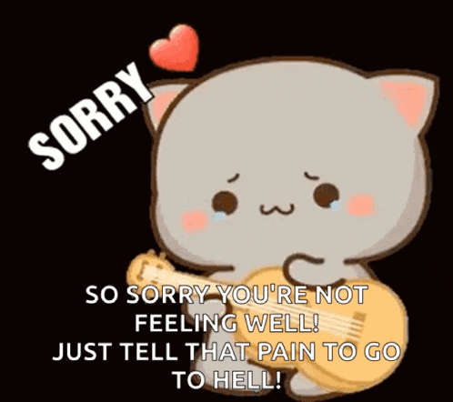 a cartoon cat is holding a guitar and saying sorry .
