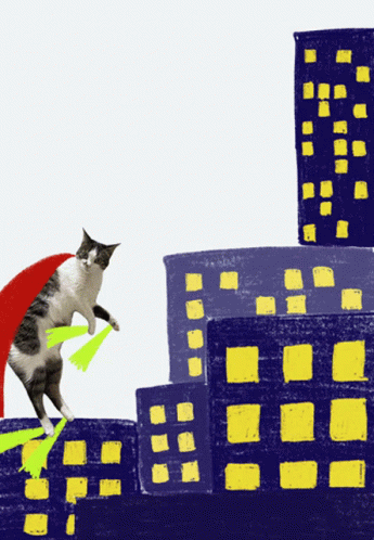 Cat Collage Flying Peer Mango GIF - Cat Collage Flying Peer Mango GIFs