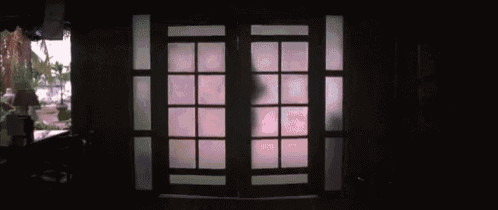 a shadow of a person is cast on a sliding glass door in a dark room