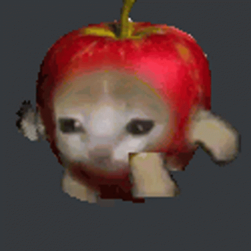 Apple Cat GIF