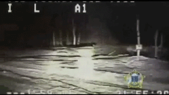 Due To His Loyalty And Intelligence, The Dog Saved His Owner From A Potentially Tragic House Fire. GIF - GIFs