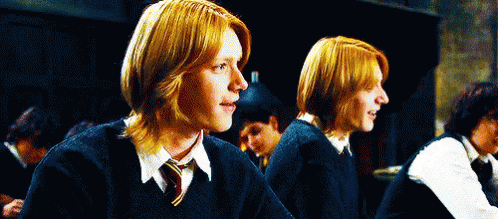 Heck Yes GIF - Harrypotter Heckyes Twins GIFs