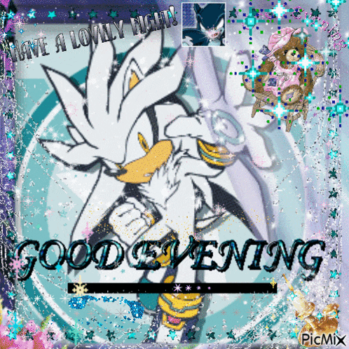 a picture of silver the hedgehog with the words good evening