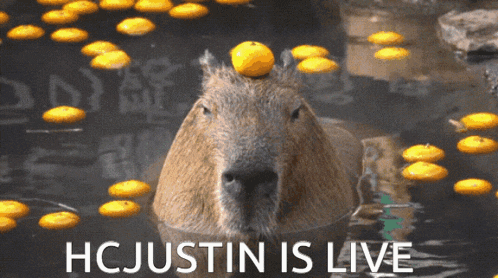 Capybara Hcjustin GIF - Capybara Hcjustin Twitch GIFs