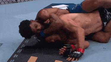 a fighter wearing a pair of ufc gloves