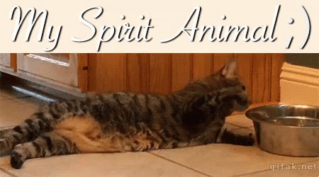 My Spirit Animal GIF - My Spirit Animal Cats Lazy GIFs
