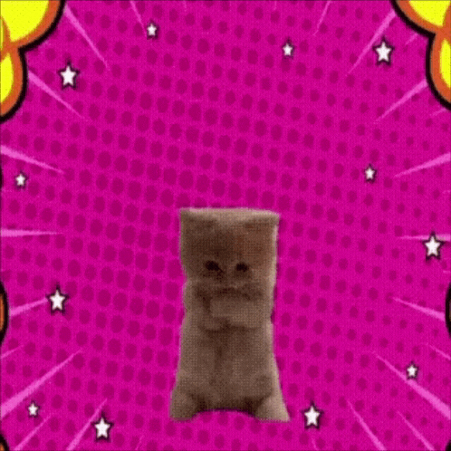 a kitten is standing on its hind legs on a pink background with stars .