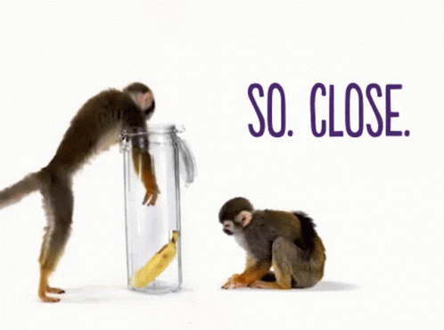 Telus Monkeys GIF - Telus Monkeys So Close GIFs