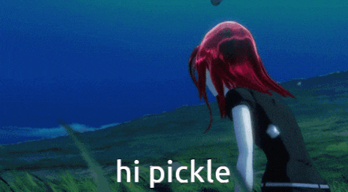 a couple of anime characters standing next to each other with the words hi pickle written below them