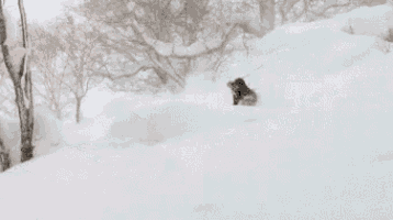 a person is skiing down a snow covered hill .