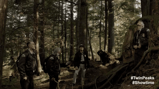 Close By GIF - David Lynch 253yards Due East Twin Peaks The Return GIFs