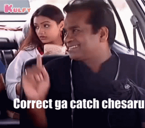Correct Ga Catch Chesaru Brahmi GIF - Correct Ga Catch Chesaru Brahmi Brahmanandam GIFs