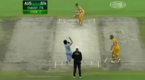 Missing Cricket GIF - Missing Cricket Miss GIFs