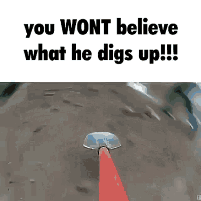 You Wont Believe What He Digs Up GIF - You Wont Believe What He Digs Up GIFs