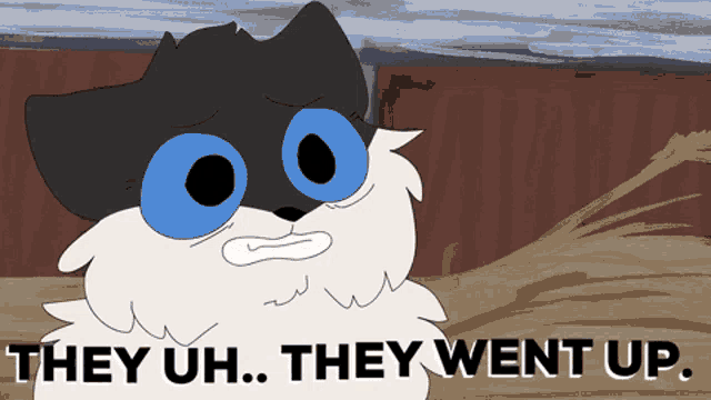 a cartoon of a cat with blue eyes and the words they uh they went up