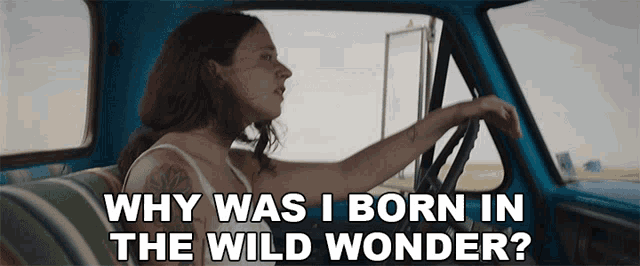Why Was I Born In The Wild Wonder Kevin Morby GIF - Why Was I Born In The Wild Wonder Kevin Morby Wander GIFs