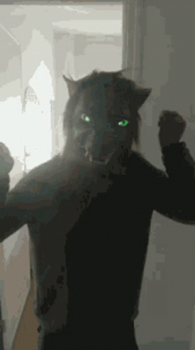 3rd Werewolf GIF - 3rd Werewolf GIFs