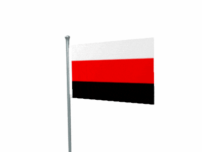 a red white and black flag is flying on a pole