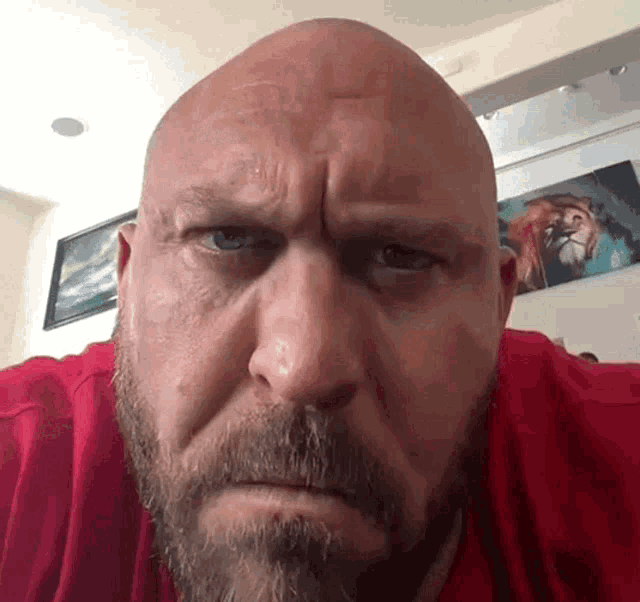 a bald man with a beard is looking at the camera