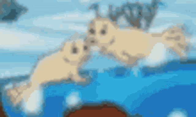 two seals are swimming in the water and kissing each other .