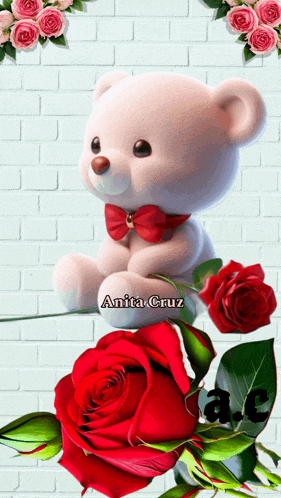 a teddy bear is sitting next to a red rose with the name anita cruz written on it