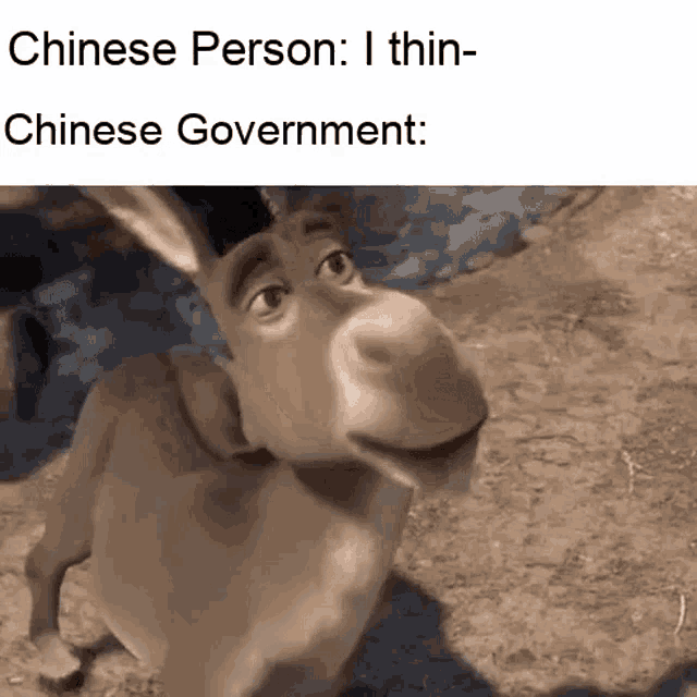a donkey from shrek is standing in the dirt with the caption `` chinese person : i thin-chinese government : ''