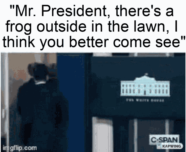 a meme that says " mr. president there 's a frog outside in the lawn "