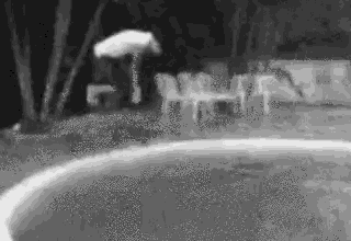 a black and white photo of a person doing a trick on a skateboard .