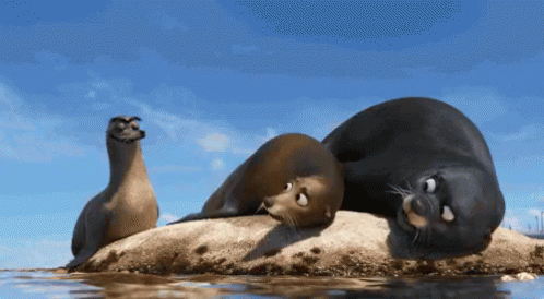 Finding Dory Seals GIF - Finding Dory Seals You Dont Belong Here GIFs